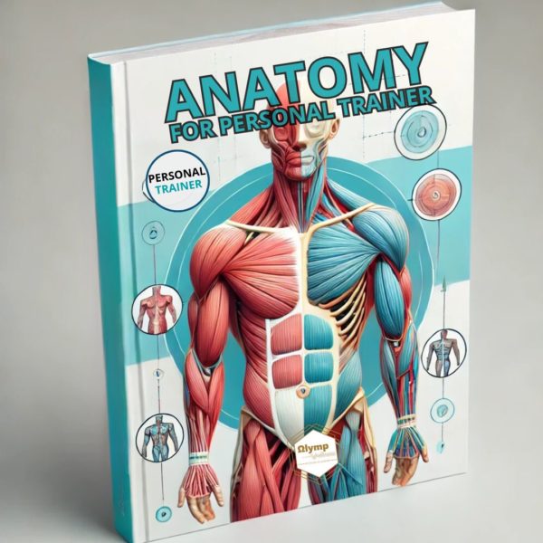 E-book Anatomie | Formation Coach Sportif / Personal Trainer